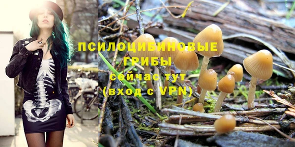 мет Липки