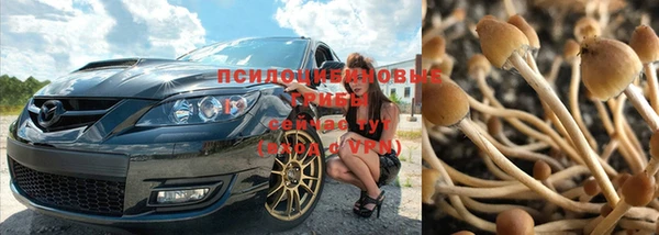 MESCALINE Лиски