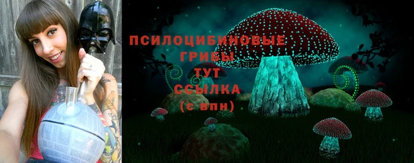 гашик Лихославль