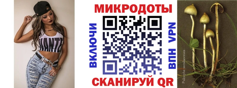 Псилоцибиновые грибы прущие грибы  Купить  Зима 
