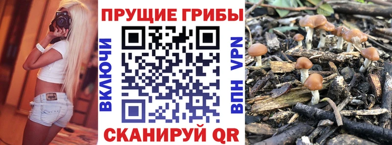 Галлюциногенные грибы прущие грибы Зима